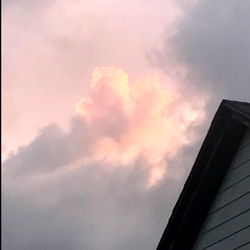 โจMothโจ photo