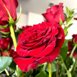 Kory Minx ๐ฆ photo