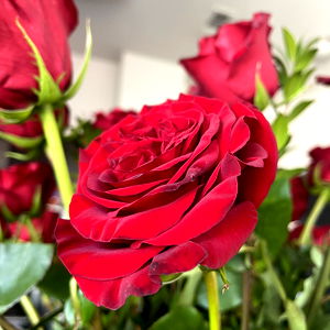 Kory Minx ๐ฆ photo