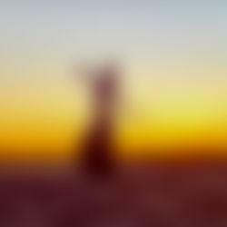 Amy Grace ๐ค photo