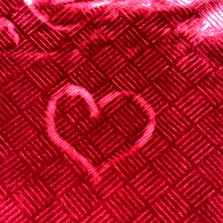 A Model's Enthusiasm for Fashion