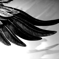 The Angel Lilith photo