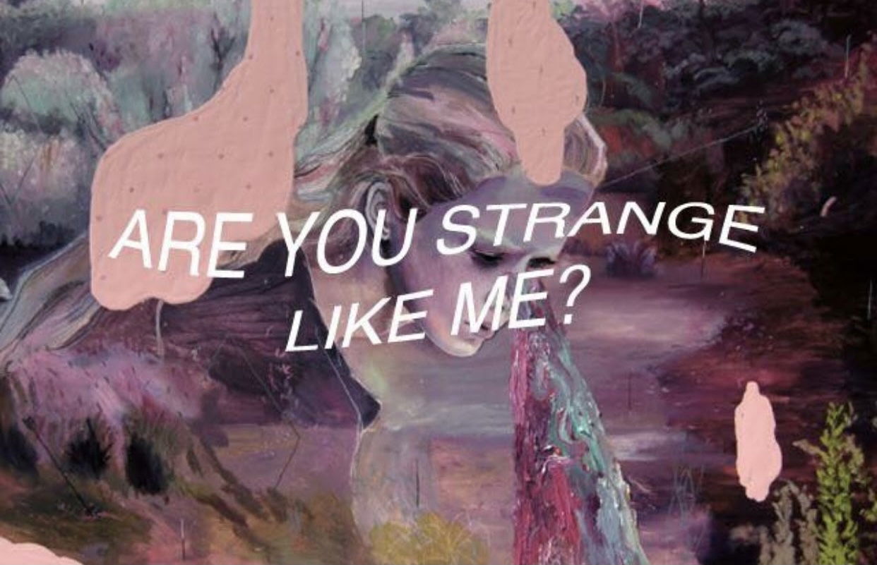 𝔎𝔦𝔱𝔱𝔢𝔫  ☆ﾟ photo