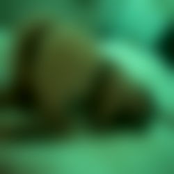 ๐ Emi Evans๐ photo