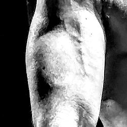 Jack | Hairy Muscle Daddy 🚐💪 VanLife Gym photo