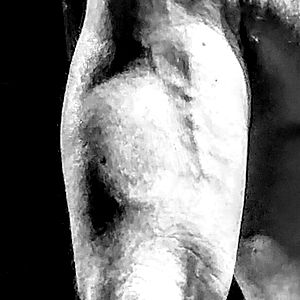 Jack | Hairy Muscle Daddy 🚐💪 VanLife Gym photo