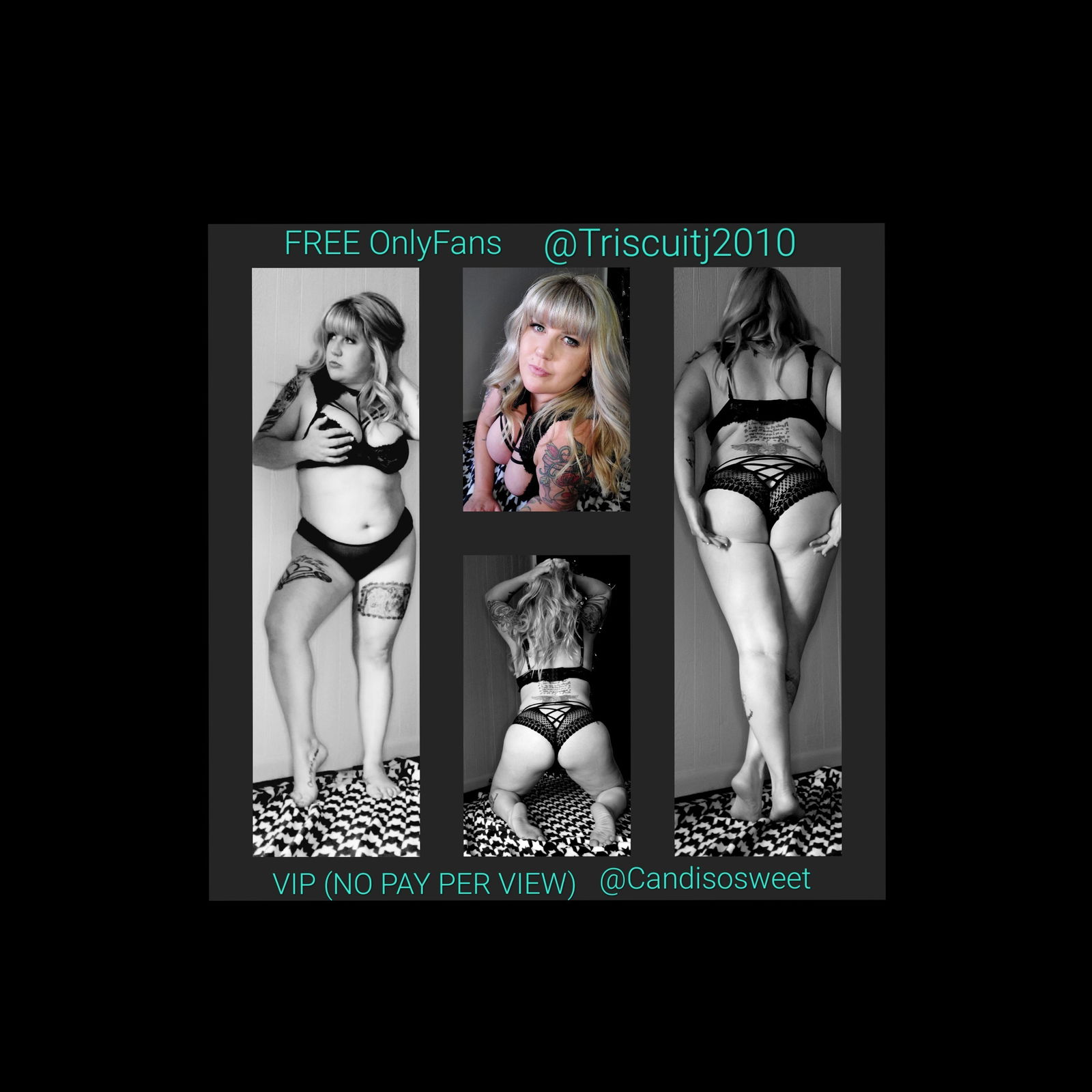 🆓️🖤TRISCUIT🖤🆓️ photo