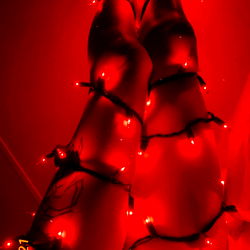 Holiday Spirit with a Red Christmas Tree