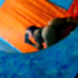 Exotic' GirL 😏🤤😛 photo