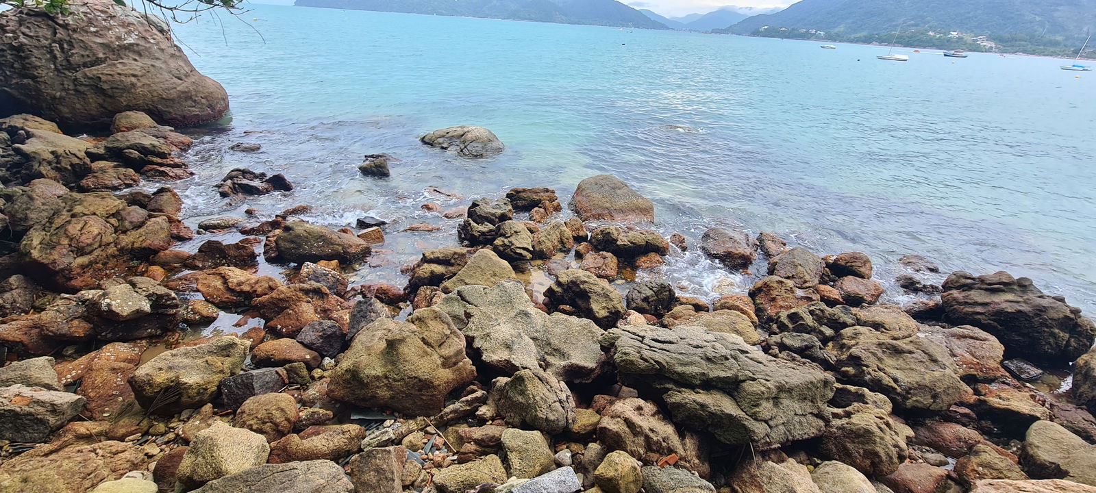 Guinevere de Camelot photo