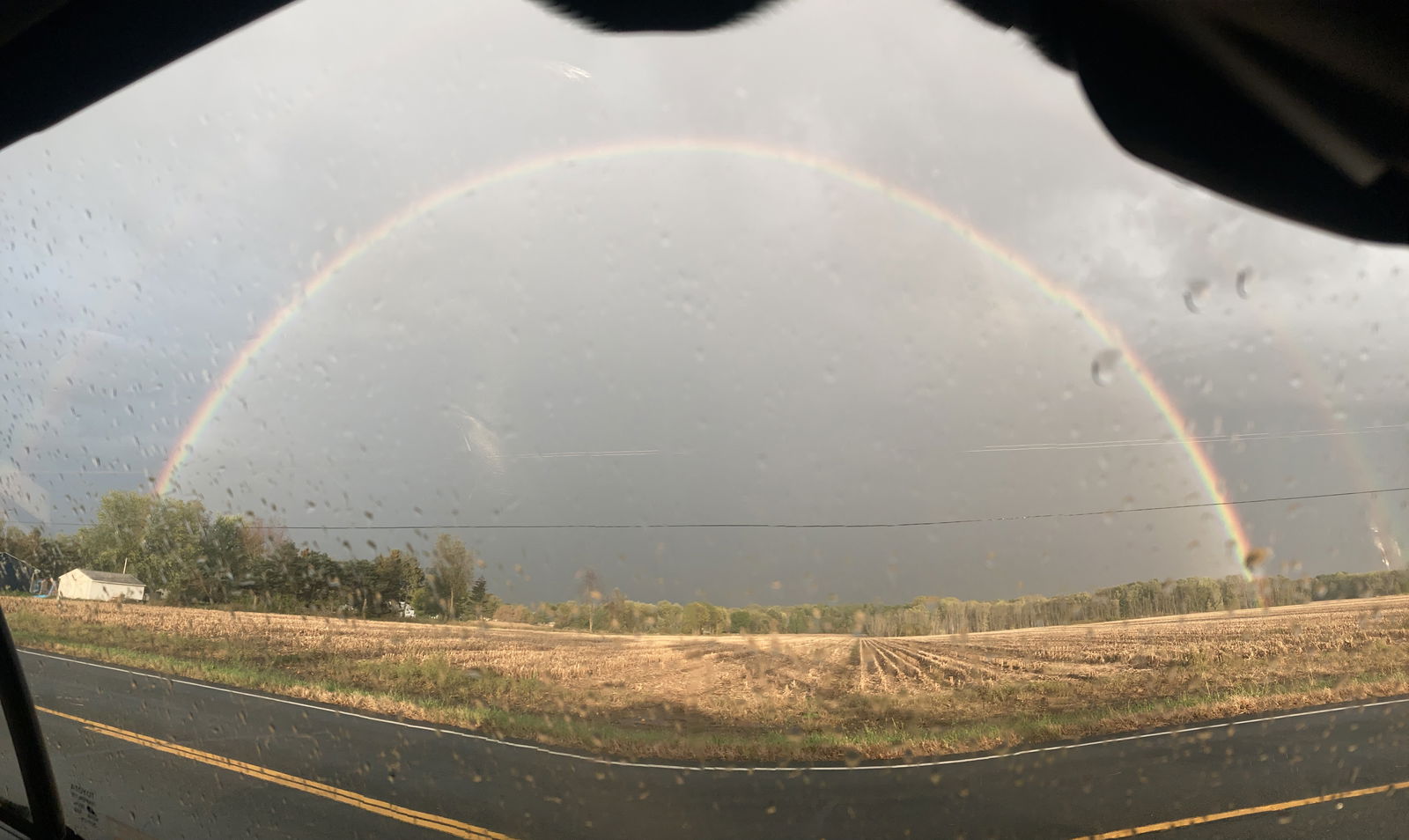 Alexander Mohler photo