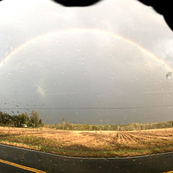 Alexander Mohler photo