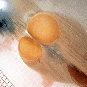 เผบโกเผป photo