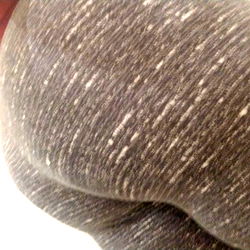 Lexi's Elevated Perspective in Sports