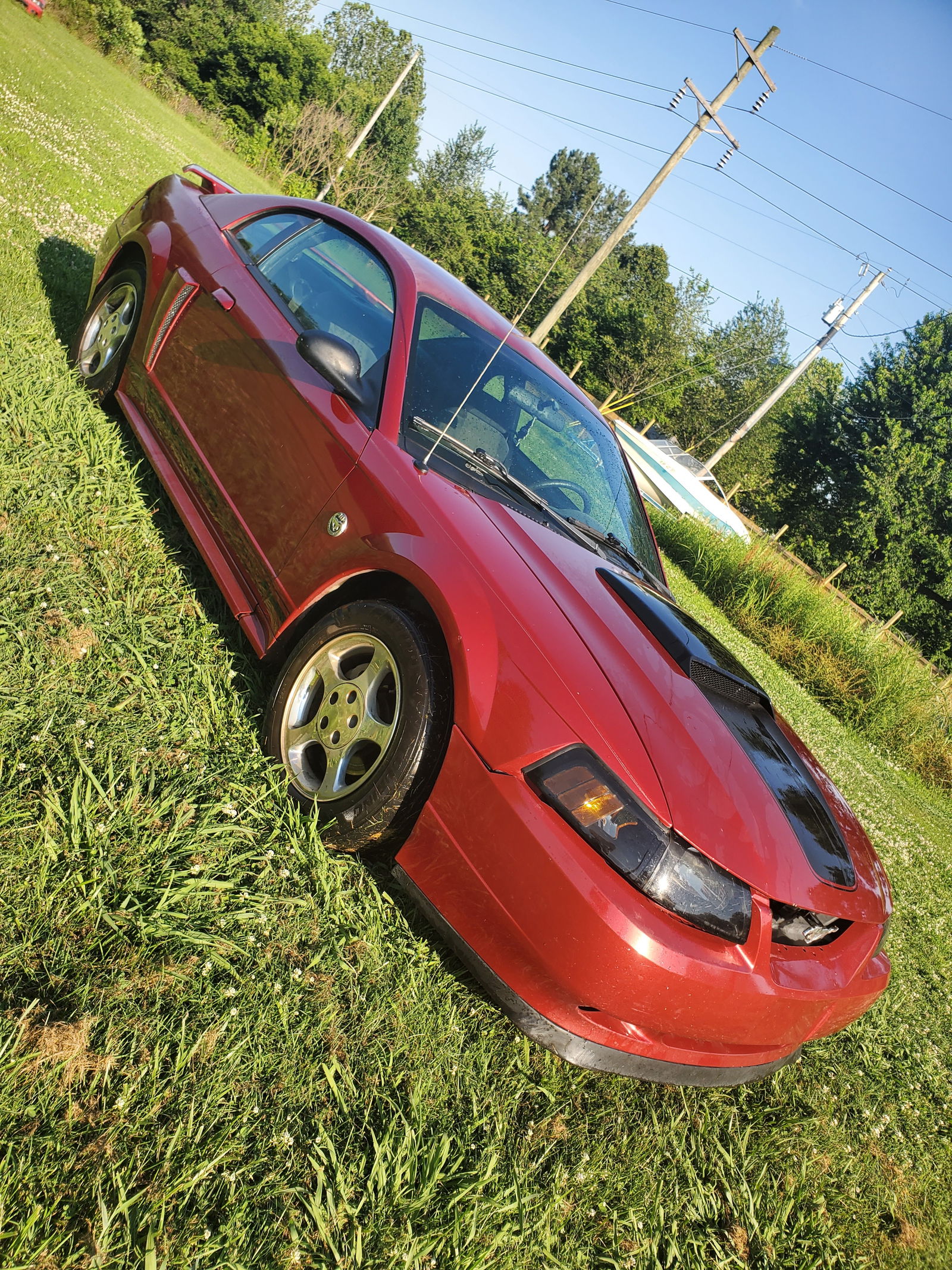 Brittney Frederick photo