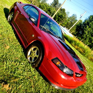 Brittney Frederick photo