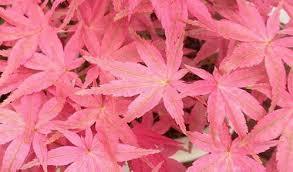 Cheyanne Elise 🤍❄️🐰 photo