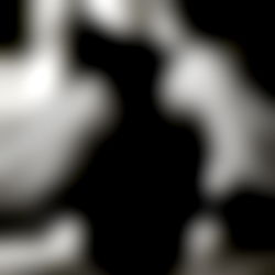 Bella Pineapples photo