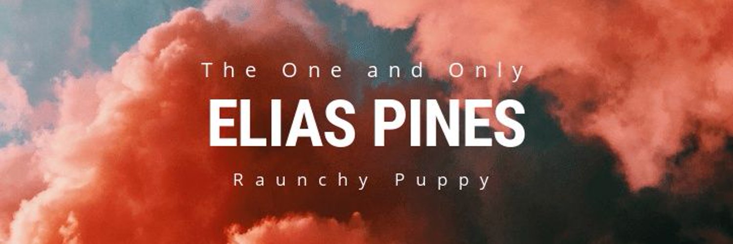 🖤✨ 𝓣𝓲𝓹 𝓽𝓸 𝓟𝓮𝓽 ✨🖤 photo