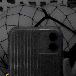 Adalyn 💕 - The Onlyfans Model with a Spider-Man Spear