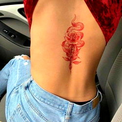 Pajarita๐ฅ๐ง๐ป photo