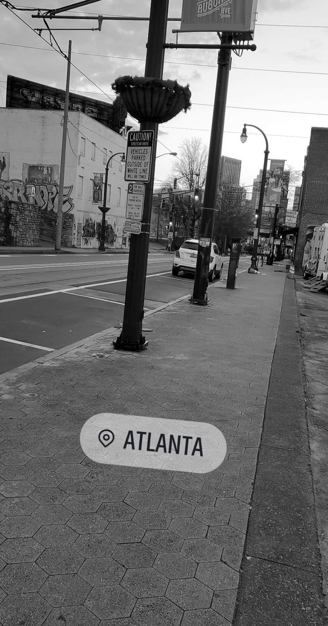 TheDL Content Creator photo