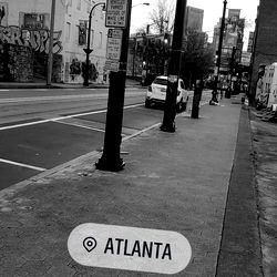 TheDL Content Creator photo