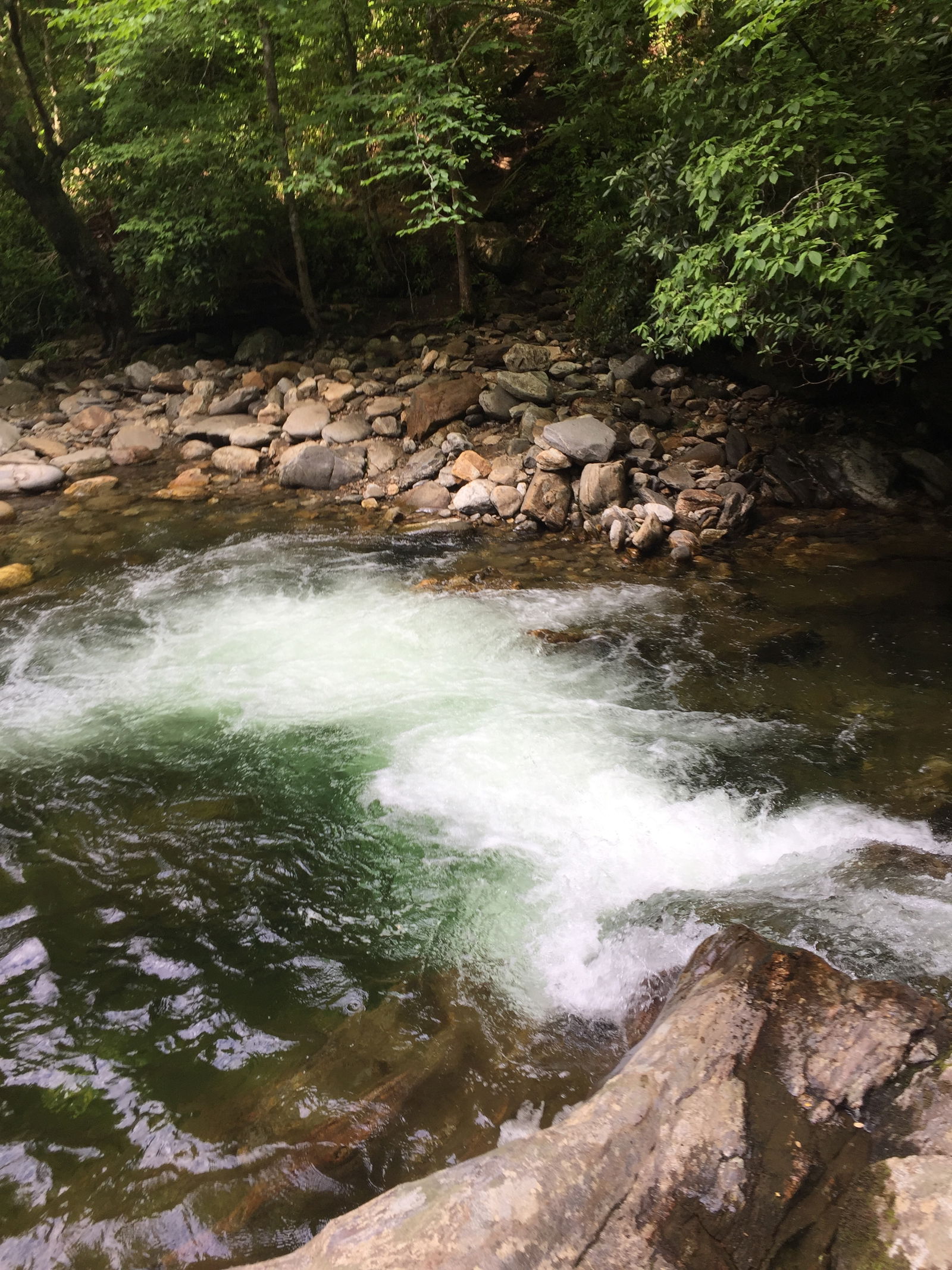 Augustine Duke photo