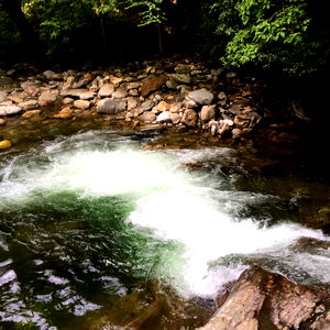 Augustine Duke photo