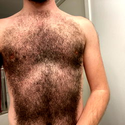 Hairy boi Chicago photo