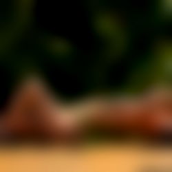 Indica Flower ๐ซ photo