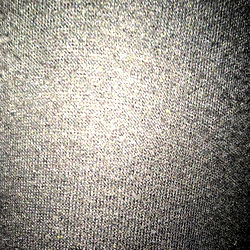 Annie, the only model from Ireland