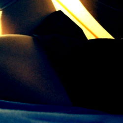 thelillypadjumps photo