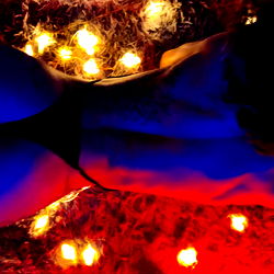 Brunna Santana photo