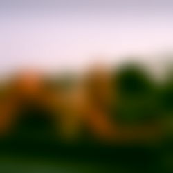 โค๏ธโ๐ฅ tana mongeau photo