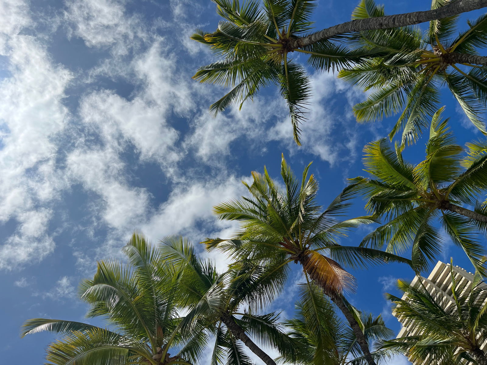 Local Pool Boy photo