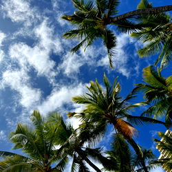 Local Pool Boy photo