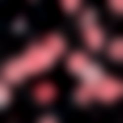 ELFA3๐ง๐ photo