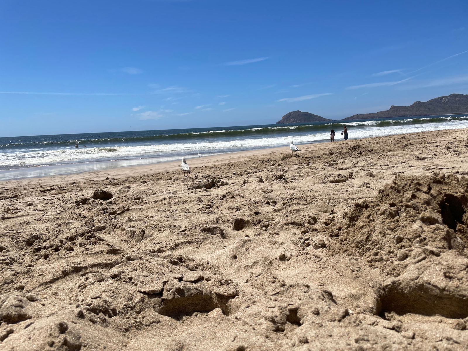 Aaron Contreras photo