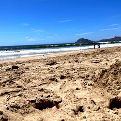 Aaron Contreras photo