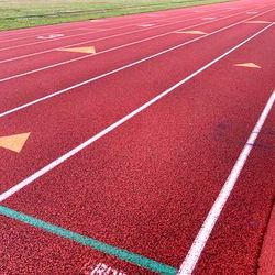 A Runner's Paradise: The Ultimate Track Experience