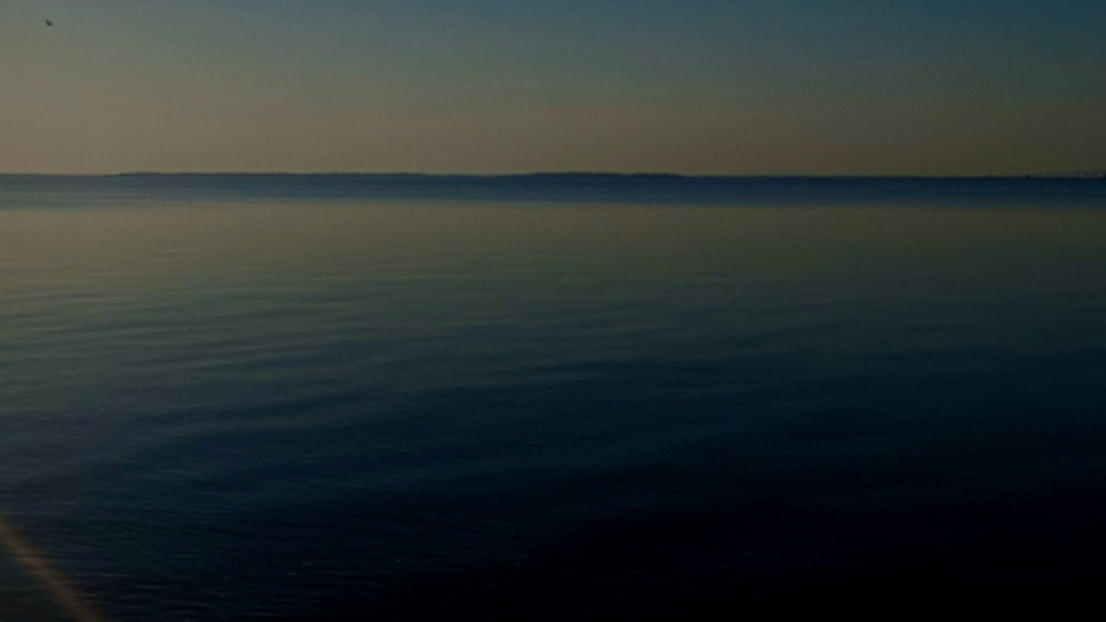 horny horny heauxmeaux photo