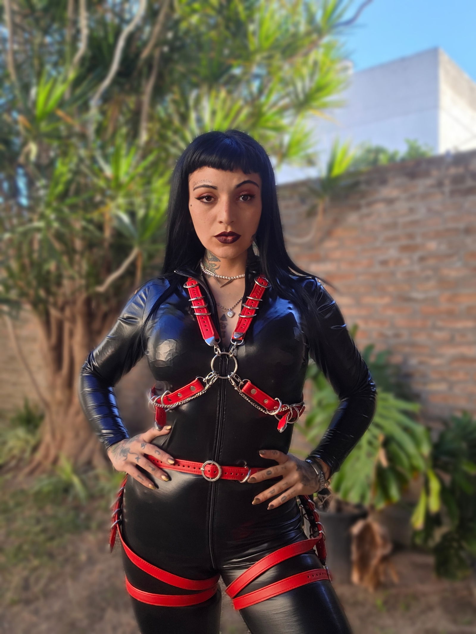 ALPHA SUN 🖤 SISSY TRAINER 🍆 photo