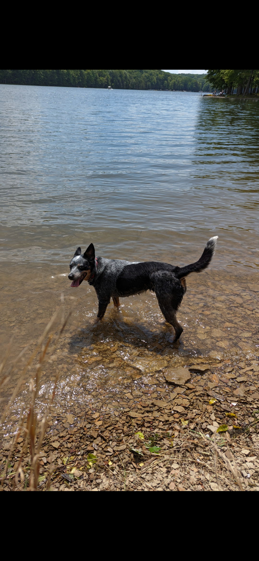 Heinrich Hammer photo