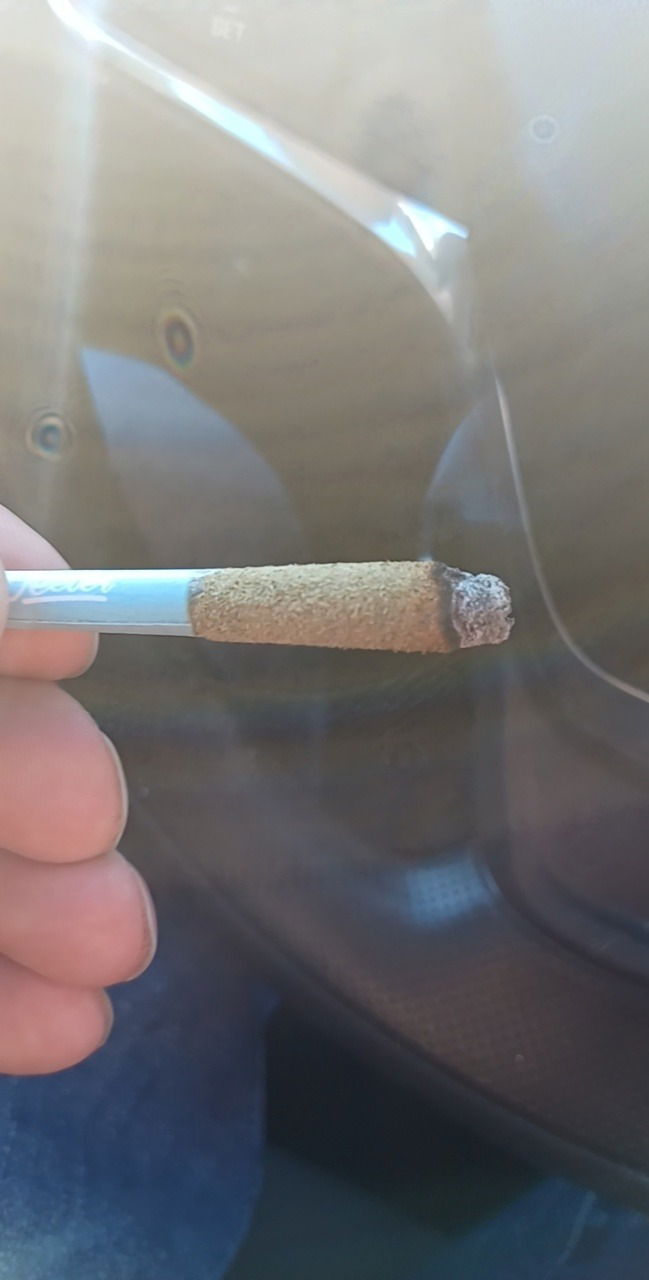 Boners&amp;Airplanes photo