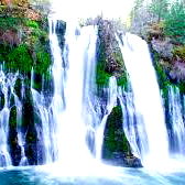 Allie๐งธ๐ photo