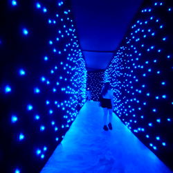 Alemi in Neon-Lit Tunnel