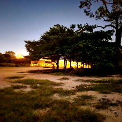 Apple&amp;mikky🥰 photo