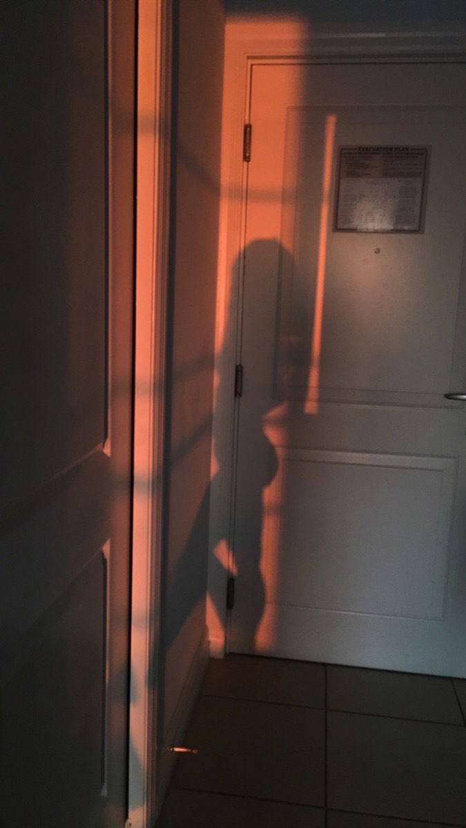 Felicity Shagwell photo