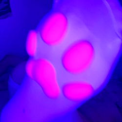 Colorful Paw-Shaped Glow Toy in Hands